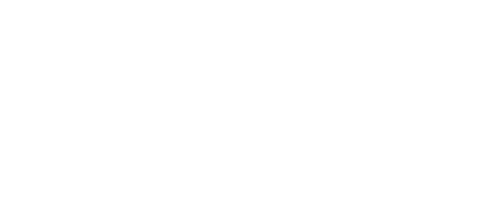 Matt Morgan